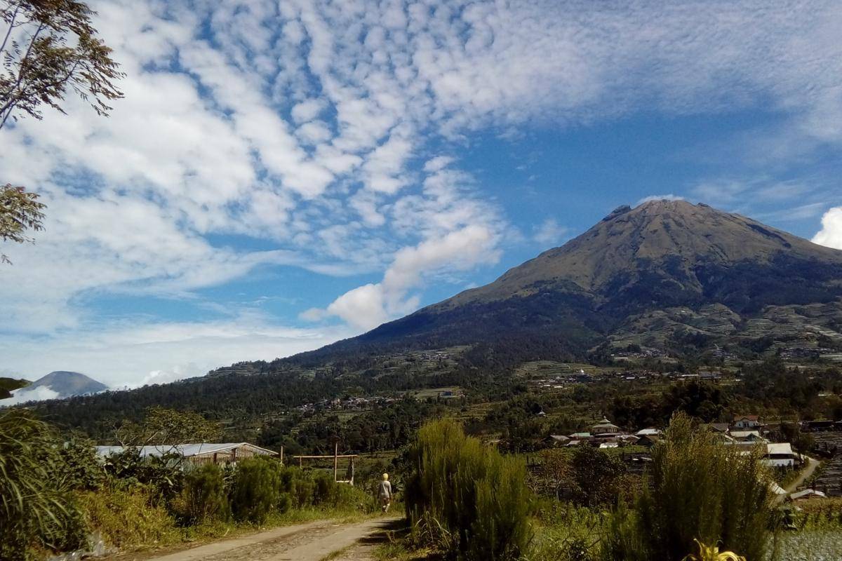 Gunung Sumbing dan Sindoro dari Desa Pulosaren, Wonosobo (dok. pribadi/Fatma Roisatin N.)