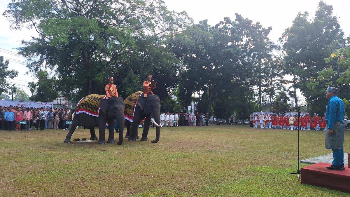 Dua Gajah Sumatra, Vera dan Jopi saat mengikuti prosesi upacara HUT RI ke-80 di kantor BBKSDA Provinsi Riau (IDN Times/ Fanny Rizano)