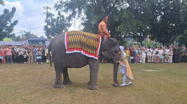 Gajah Vera saat memakaikan kalung bunga ke salah satu petugas upacara (IDN Times/ Fanny Rizano)