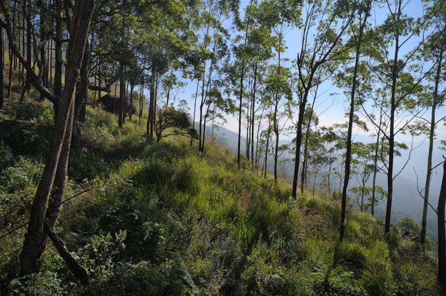 Western Ghats