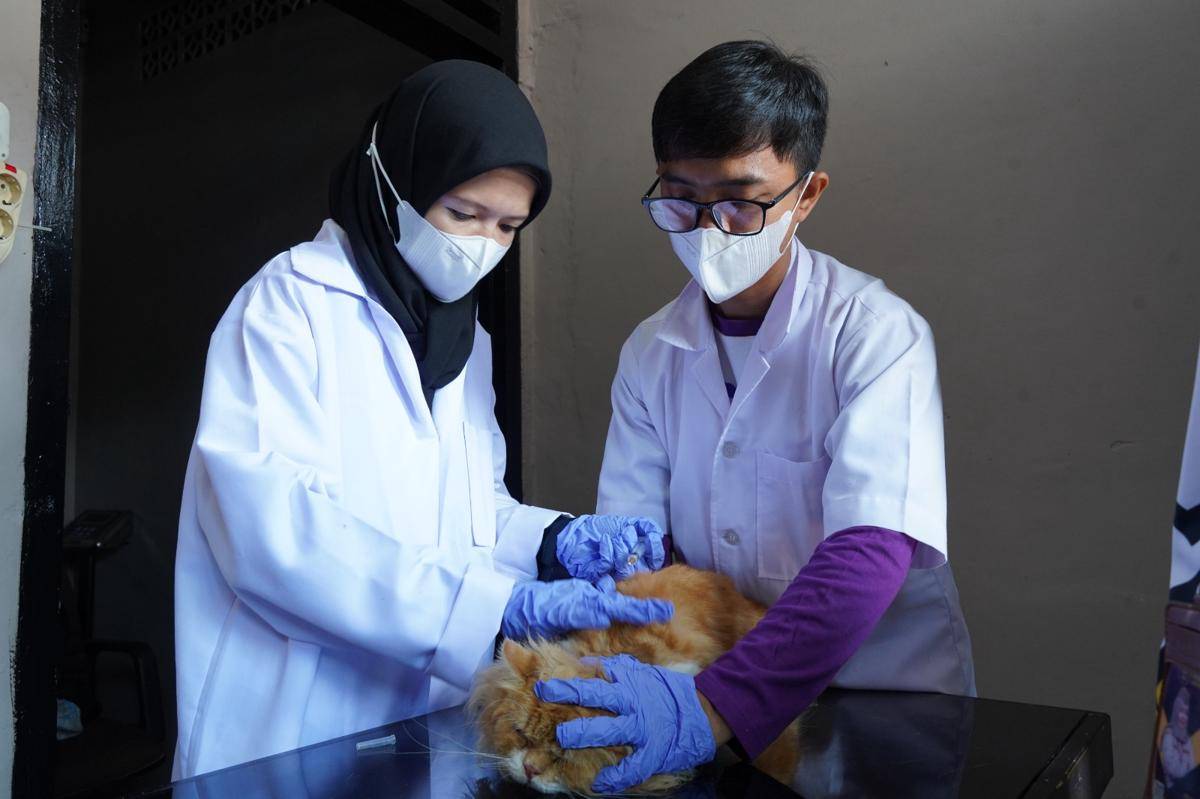 Vaksinasi rabies gratis di Sumsel