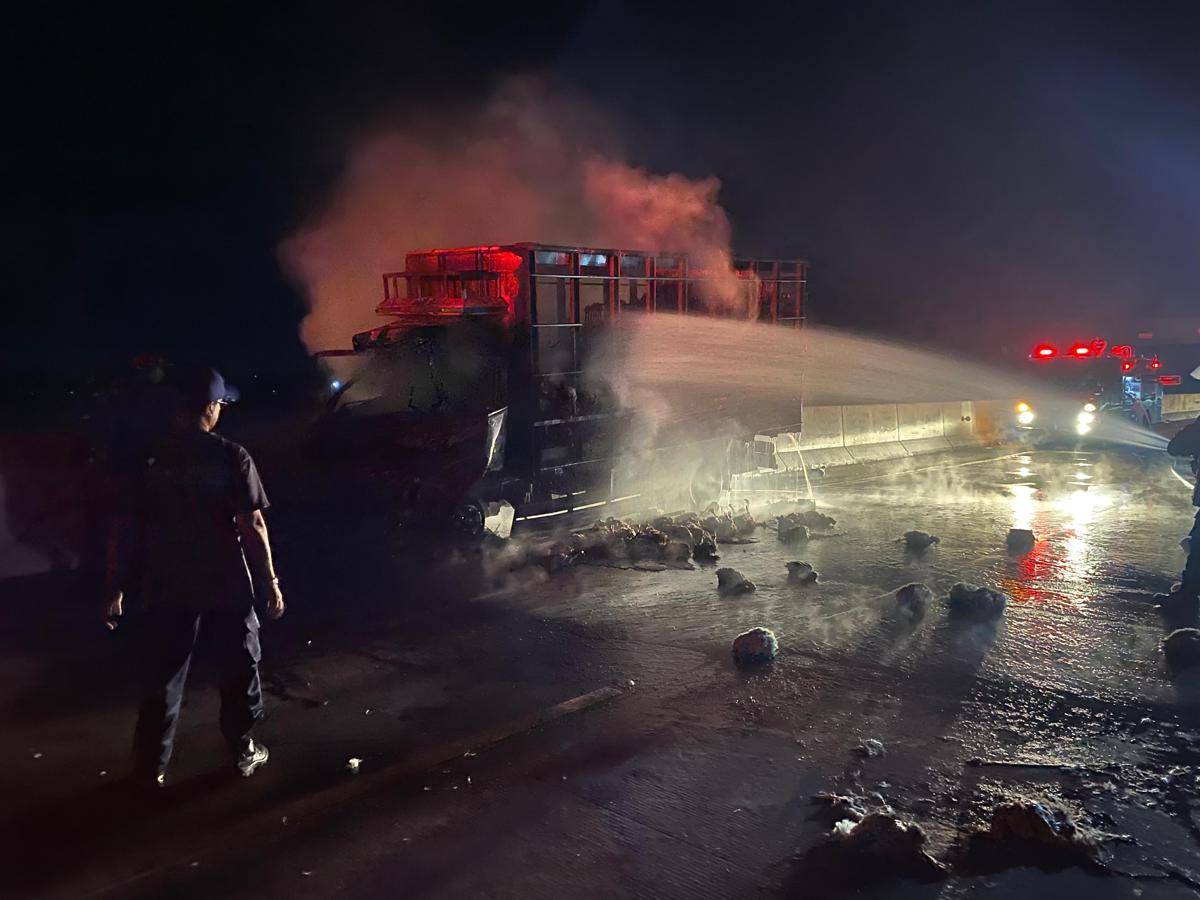 Truk bermuatan 2 ton ayam potong terbakar hebat di ruas tol Ngawi–Solo, tepatnya di KM 562 Desa Sidomakmur, Kecamatan Widodaren, Kabupaten Ngawi. IDN Times/Riyanto.