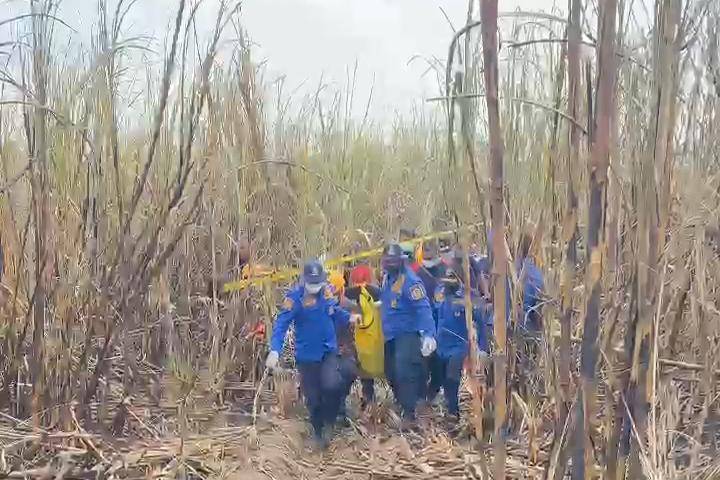 Damkar Madiun evakuasi jasad Heri Budiono (50), warga Desa Candimulyo, Kecamatan Dolopo, yang sehari-hari bekerja sebagai buruh tebang tebu. IDN Times/Istimewa.