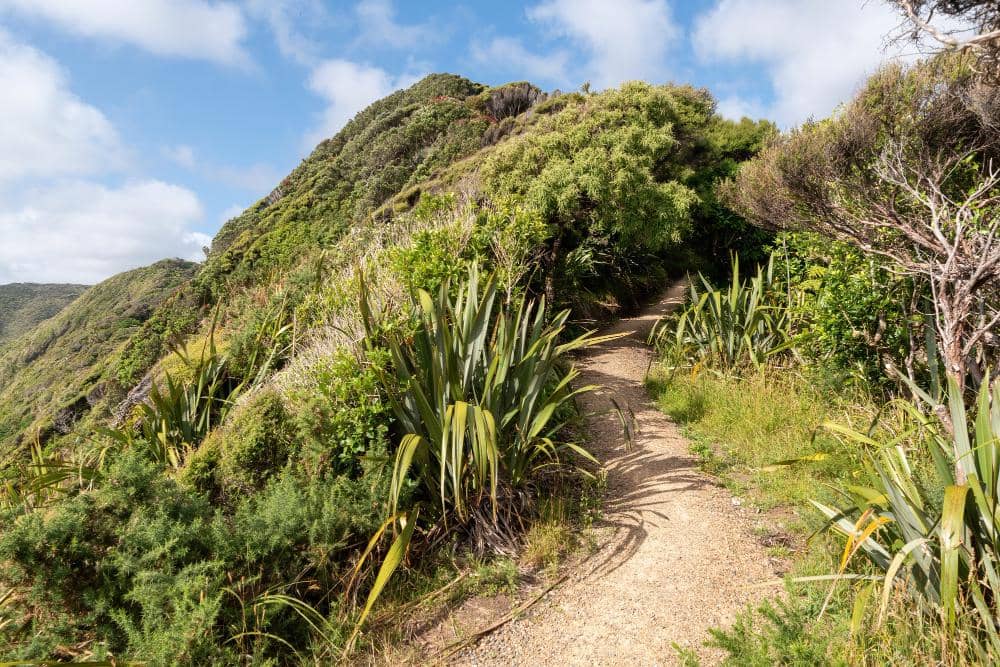 ilustrasi gunung andong via sawit (freepik.com/wirestock)