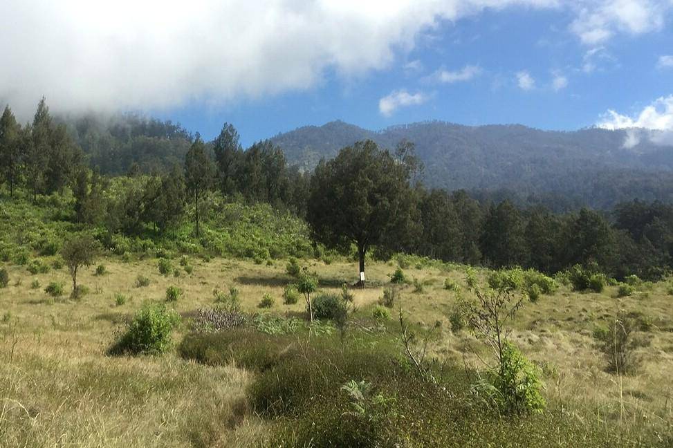 Alun-alun Kecil Pegunungan Iyang, Gunung Argopuro 