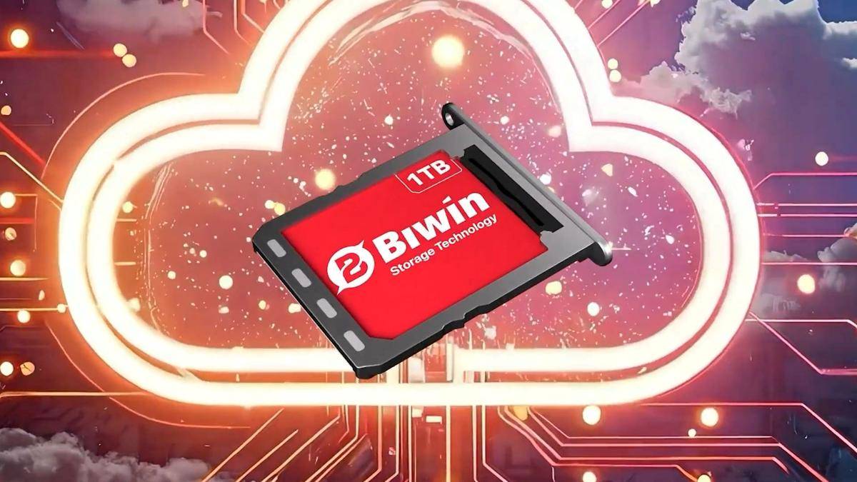 BIWIN Mini SSD 
