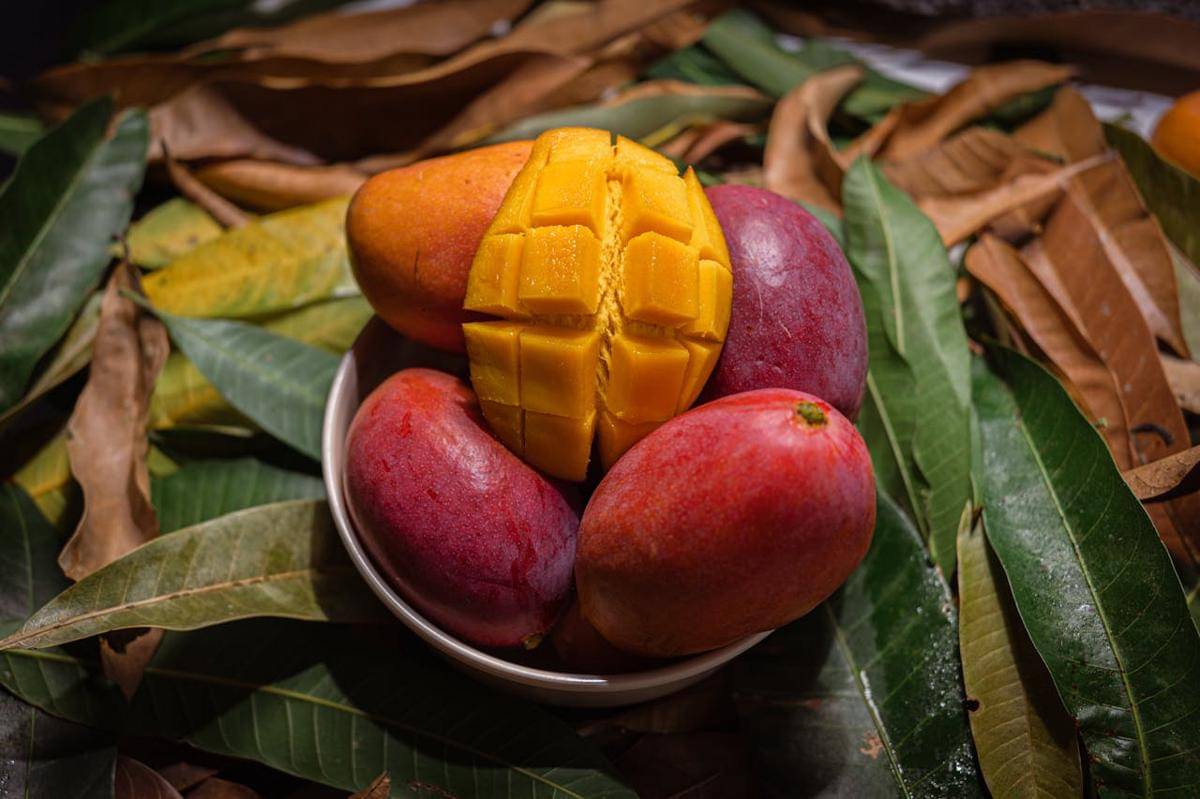 ilustrasi buah mangga (pexels.com/Wil Carranza)