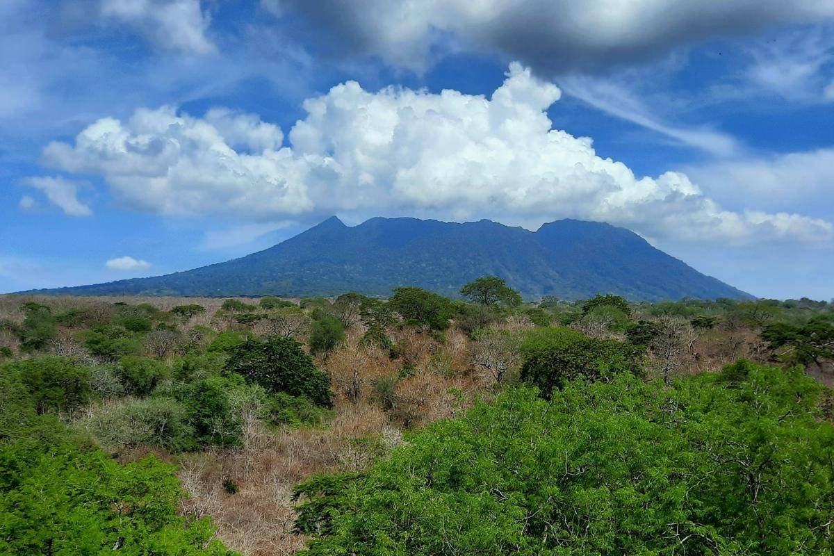 Gunung Baluran
