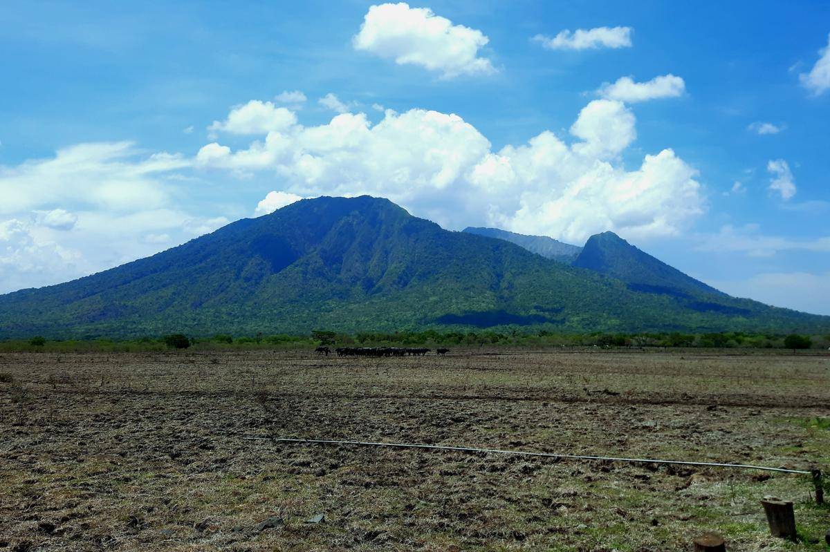 Gunung Baluran