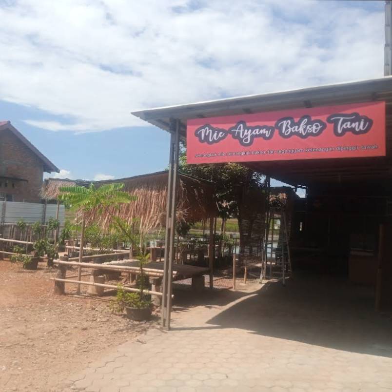 Mie Ayam Bakso Tani (Dok.Google Maps/mie ayam bakso tani)