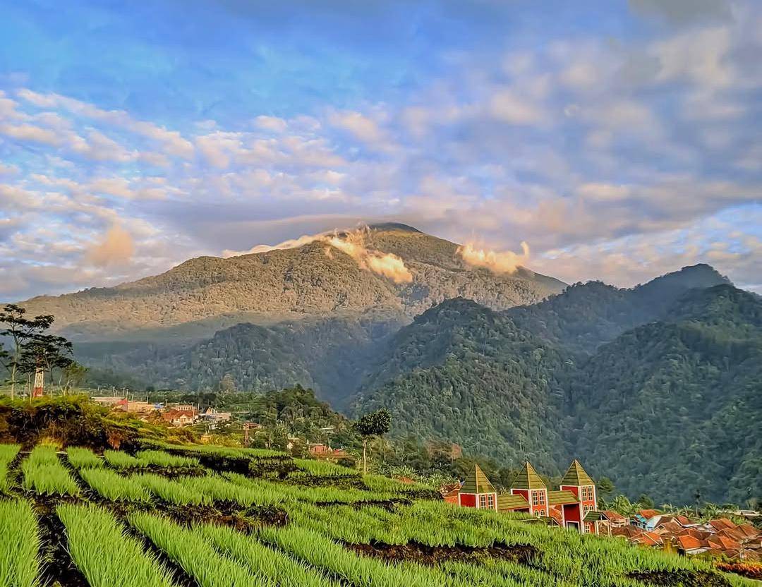 pemandangan Gunung Ciremai dari persawahan (instagram.com/dhin00006)
