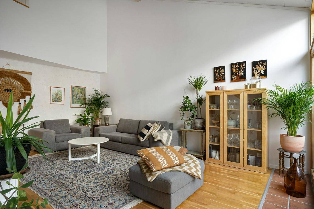 ilustrasi tanaman indoor sebagai aksen hidup dalam ruangan (unsplash.com/Lisa Anna)