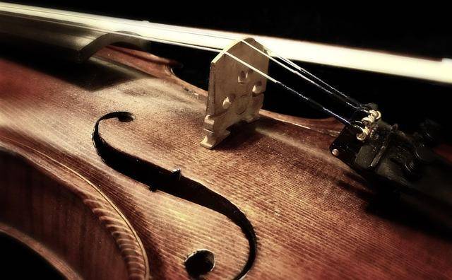 ilustrasi alat musik (pixabay.com/Pexels)