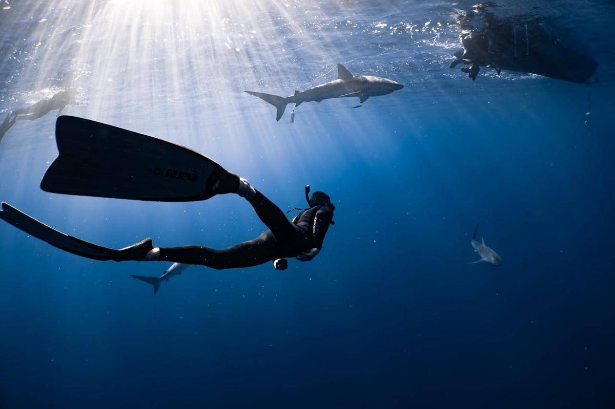 Suara misterius dari dasar laut yang membuat ilmuwan kebingungan. (Pexels/Daniel Torobekov)