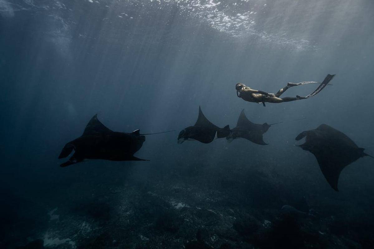 Suara misterius dari dasar laut yang membuat ilmuwan kebingungan. (Pexels/Elianne Dipp)