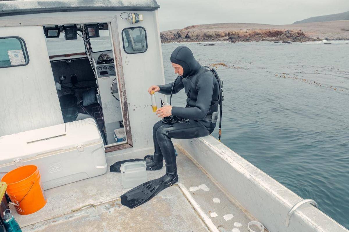 Suara misterius dari dasar laut yang membuat ilmuwan kebingungan. (Pexels/Kindel Media)