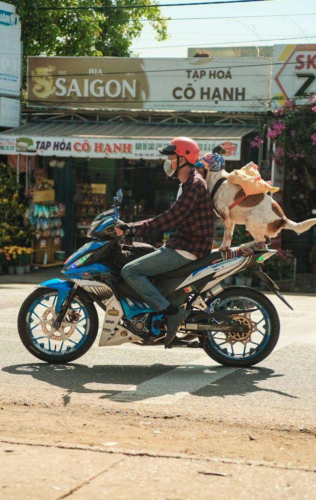 ilustrasi helm motor di Vietnam (pexels.com/Tình Huỳnh)