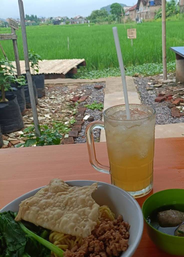 Mie Ayam Bakso Tani (Dok.Google Maps/Aan Siswanto)