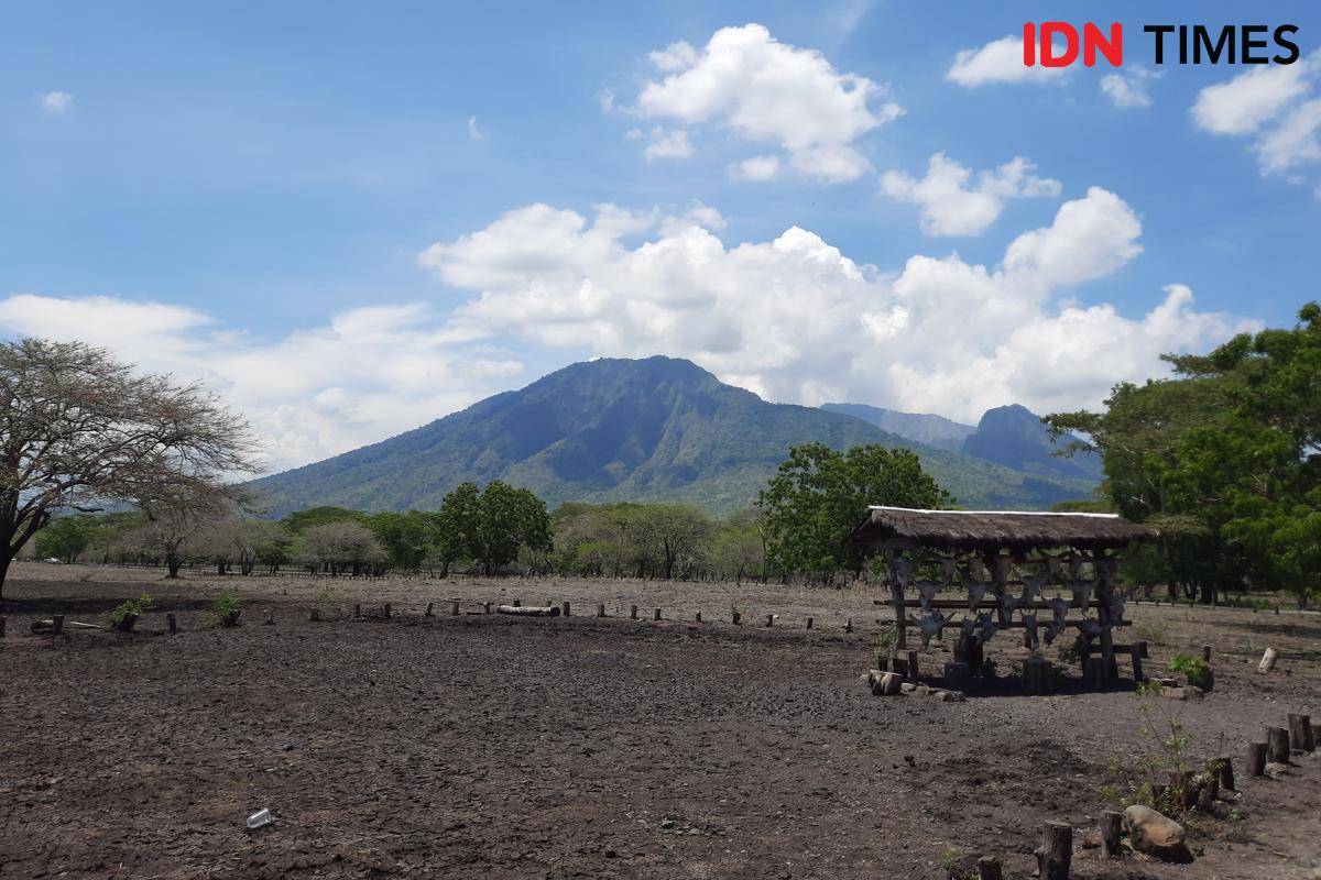 Gunung Baluran