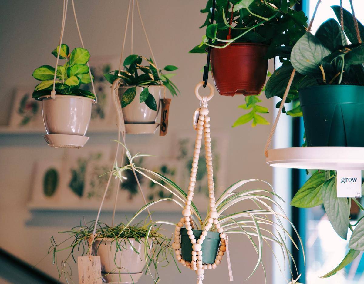 ilustrasi vertical garden