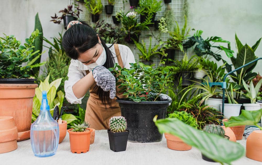 Berkebun