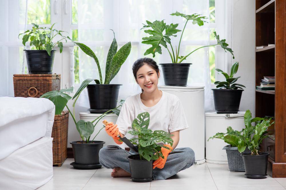 ilustrasi seseorang berkebun