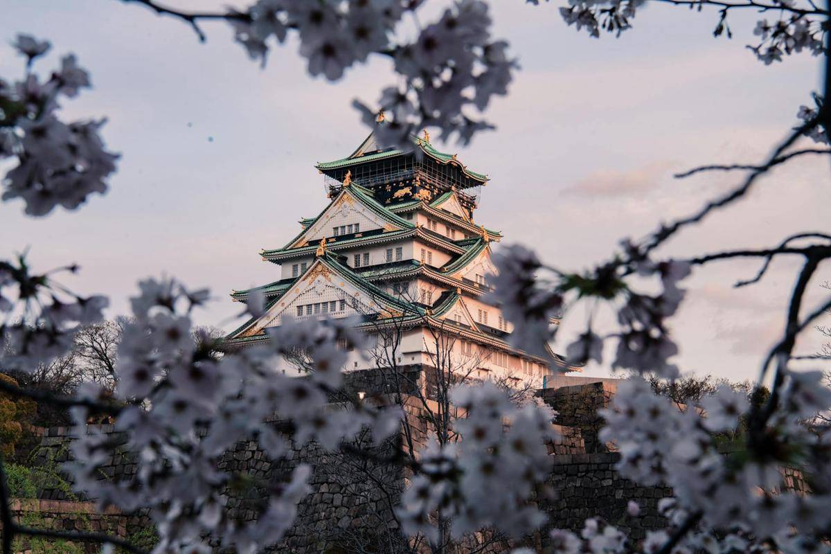 potret Osaka Castle (pexels.com/Satoshi Hirayama)