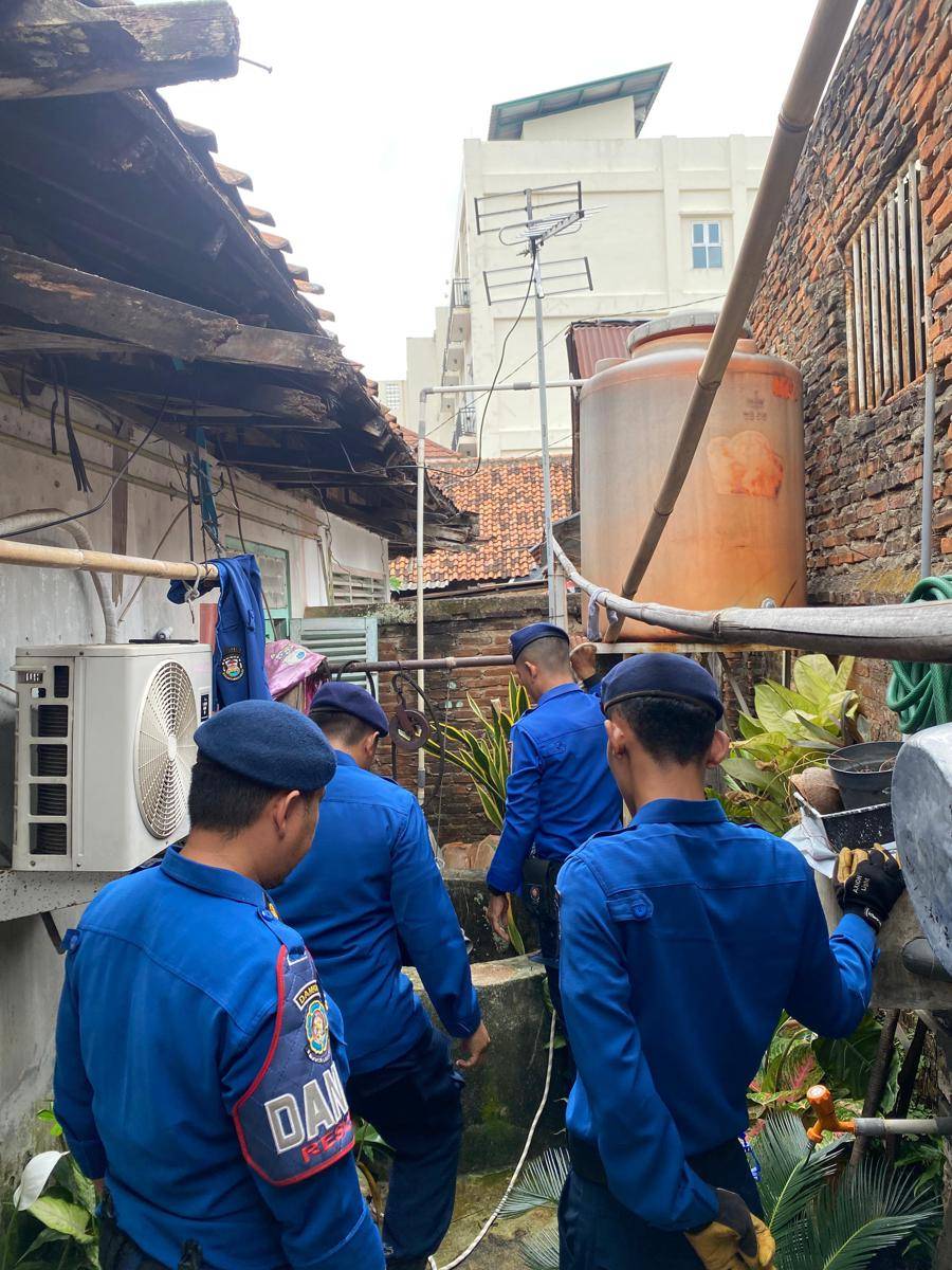 Penyelamatan kucing oleh Damkarmat Bandar Lampung. (IDN Times/Damkarmat Bandar Lampung)