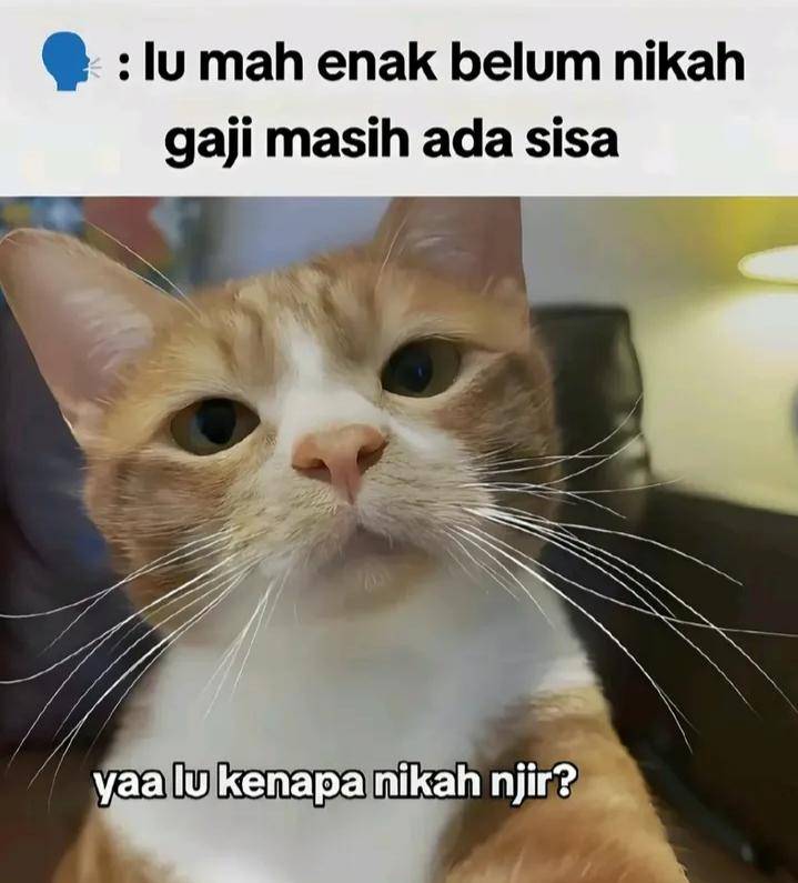 meme adu nasib
