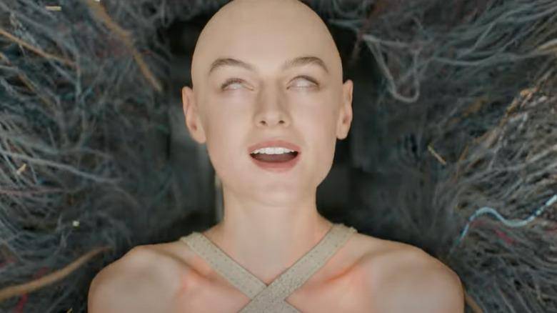 Cassandra Nova