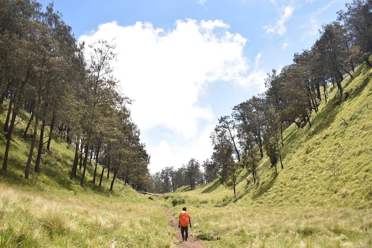 ilustrasi Gunung Lawu