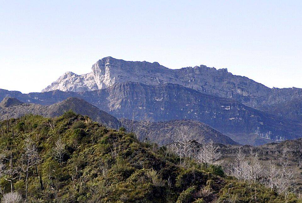 ilustrasi Puncak Trikora (commons.wikimedia.org/Christian Stangl)