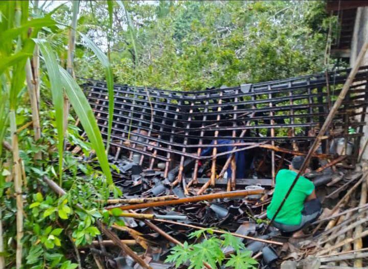 Dampak Cuaca Ekstrem di DIY, Pohon Tumbang hingga Korban Luka