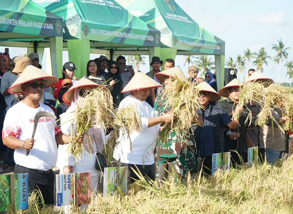 petani ppu
