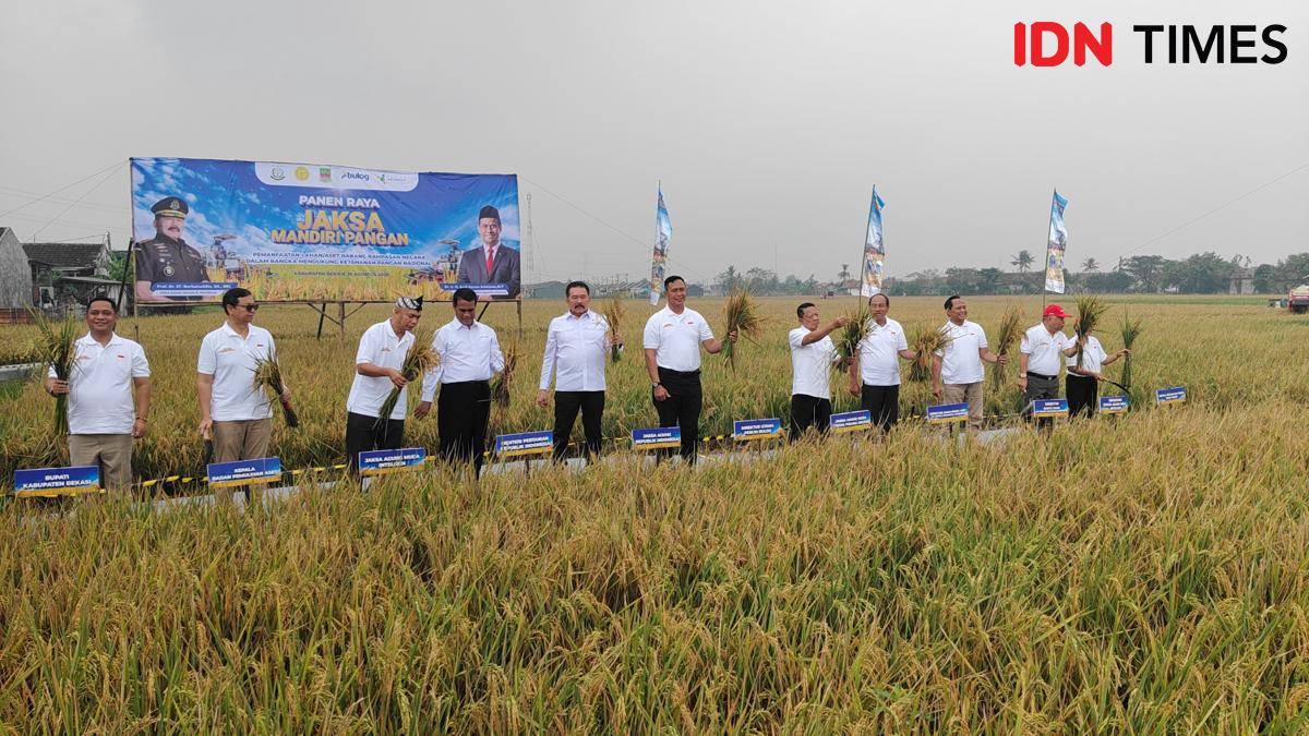 Kejagung Panen Padi