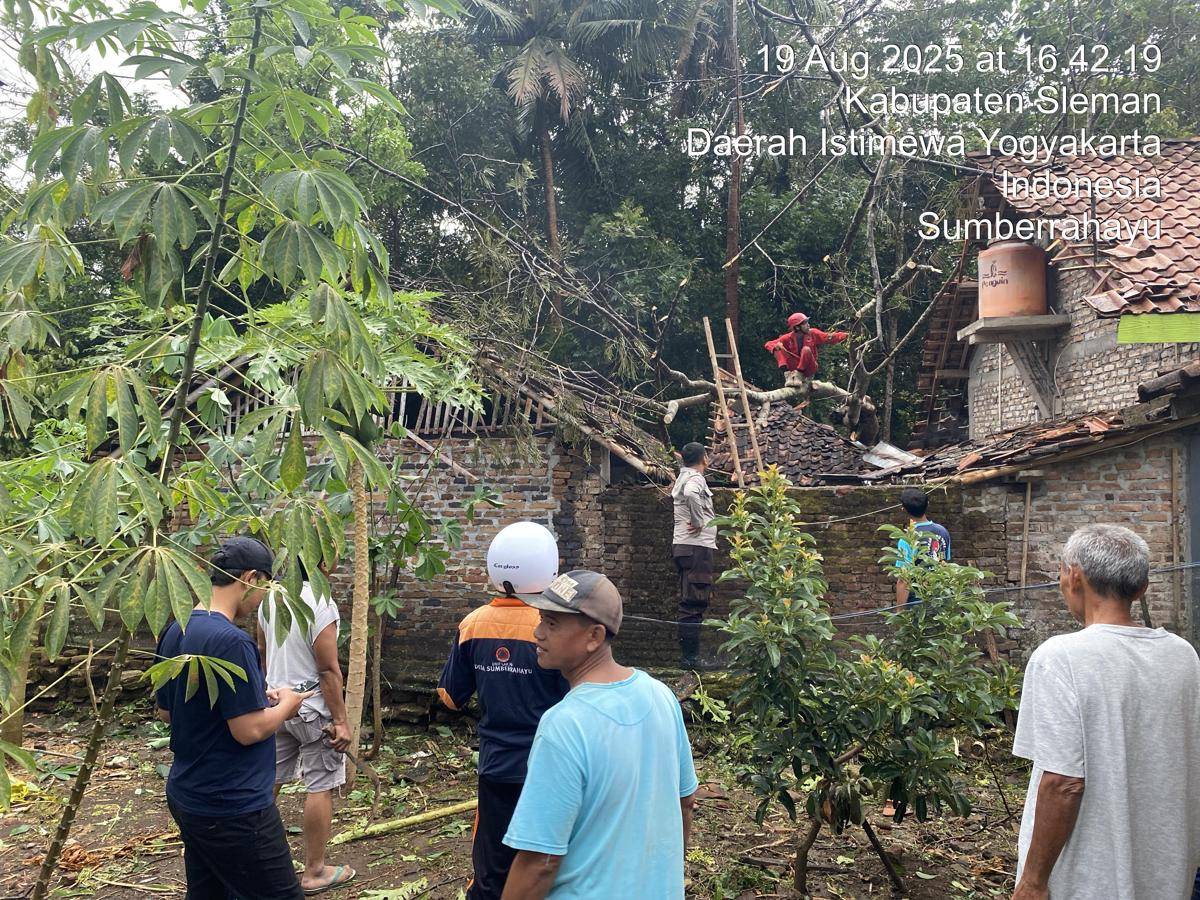 Dampak Cuaca Ekstrem di DIY, Pohon Tumbang hingga Korban Luka