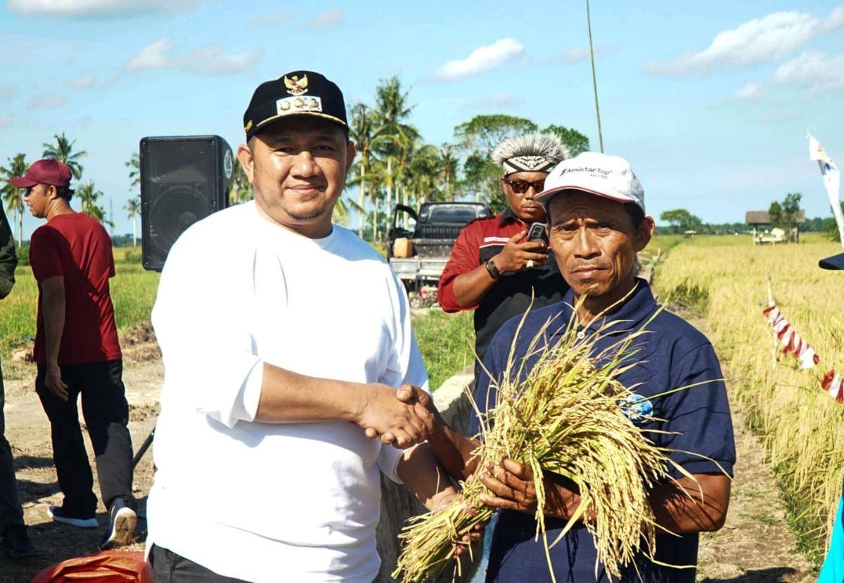 petani babulu