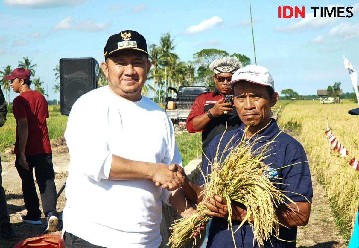petani babulu