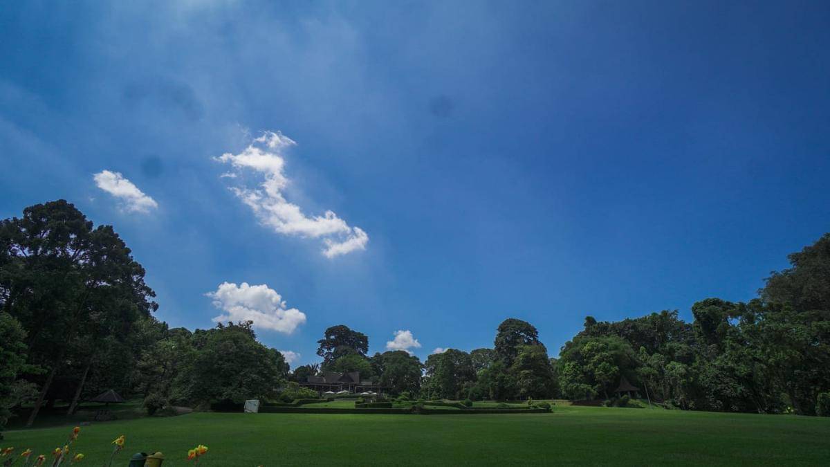 Kebun Raya Bogor.jpeg