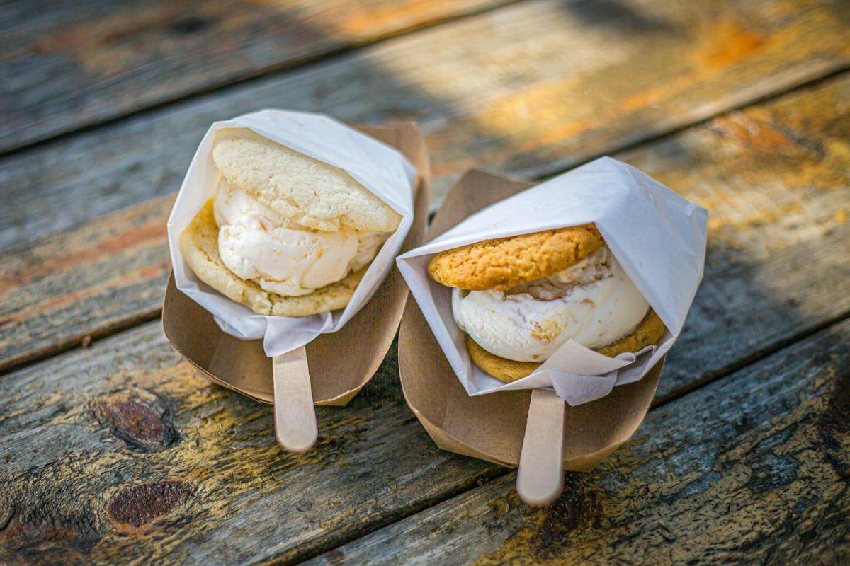ilustrasi ice cream sandwich cookies