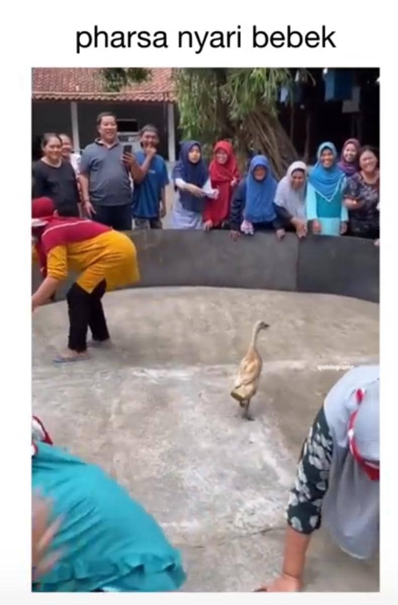meme perayaan hari kemerdekaan