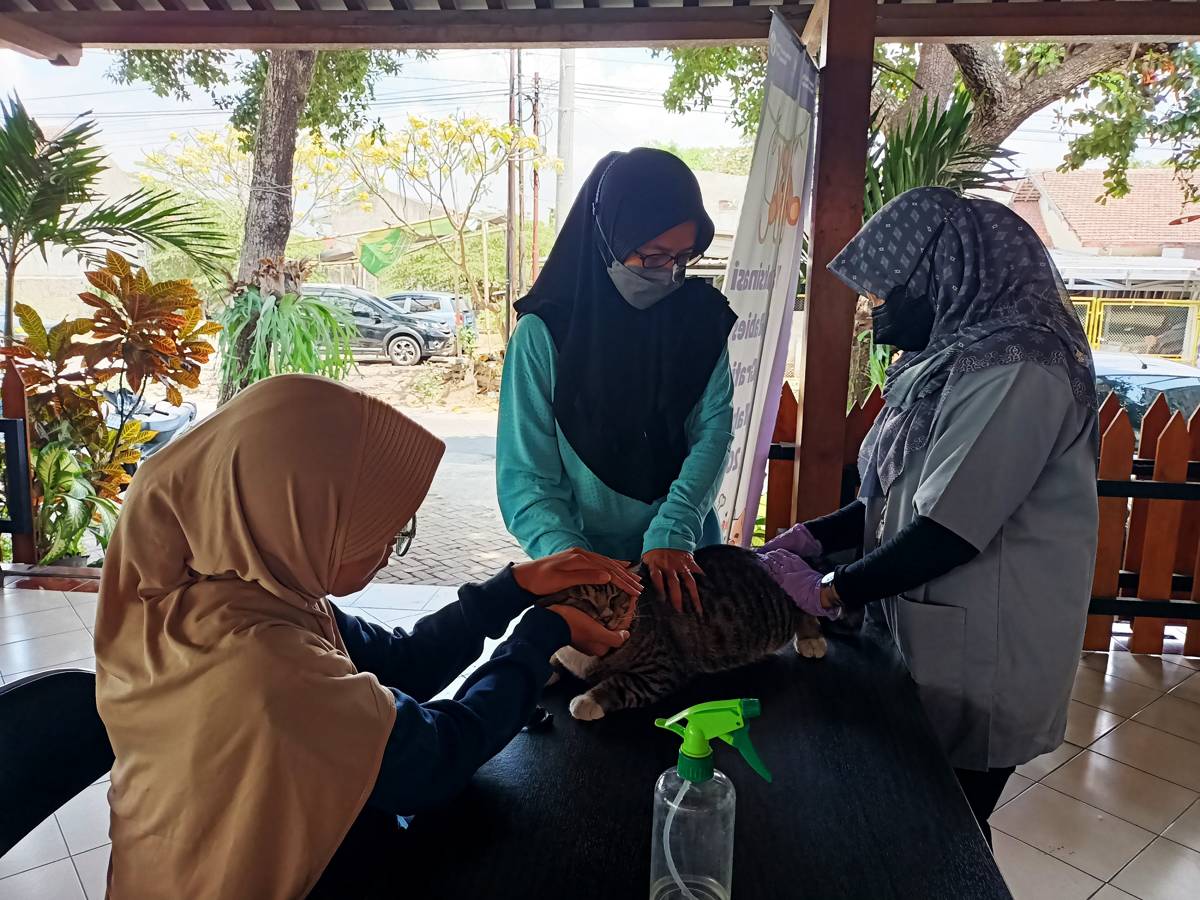 Pemkot Yogyakarta sediakan 3.000 vaksin rabies gratis September 2025. (dok. Pemkot Yogyakarta)