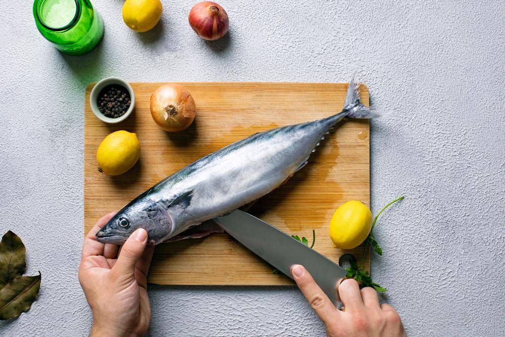 ilustrasi ikan tenggiri