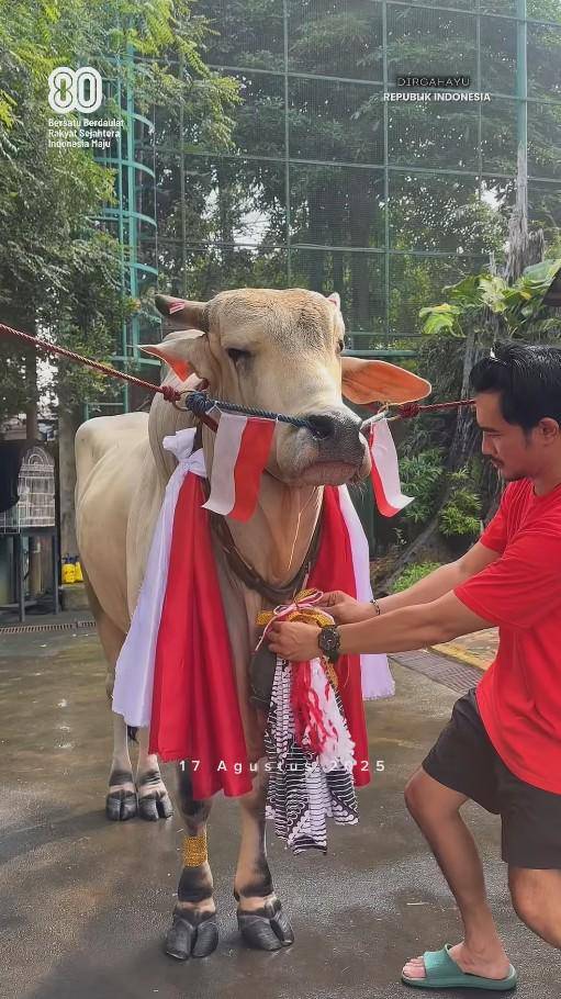 Peliharaan Irfan Hakim Ikut Semarak 17-an (Instagram.com/irfanhakim75)