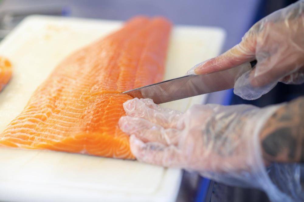 ilustrasi mengolah salmon