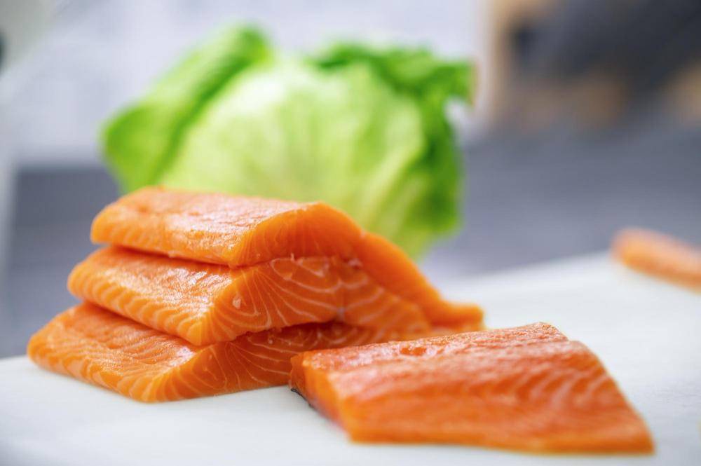 ilustrasi salmon