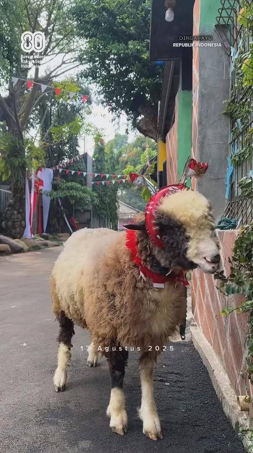 Peliharaan Irfan Hakim Ikut Semarak 17-an (Instagram.com/irfanhakim75)