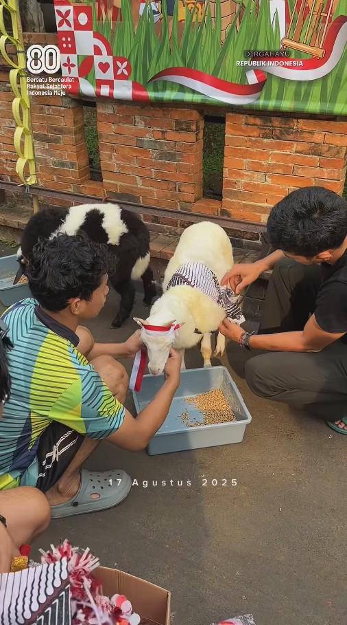 Peliharaan Irfan Hakim Ikut Semarak 17-an (Instagram.com/irfanhakim75)