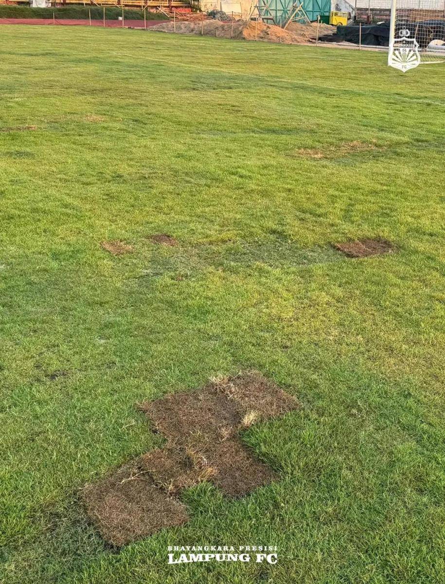 Rumput yang ada di Stadion Pahoman Bandar Lampung. (IDN Times/Instagram: @bhayangkarafc)