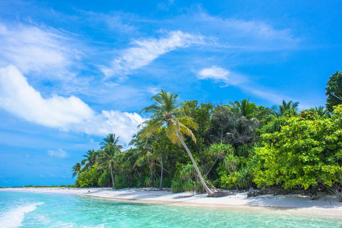 ilustrasi pantai/pexels.com